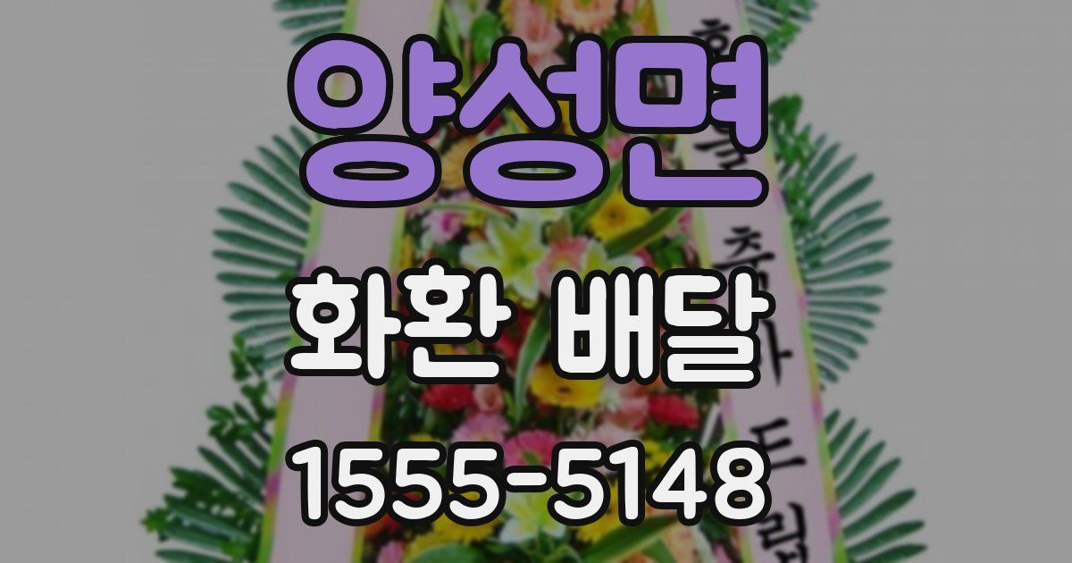양성면 화환 배달