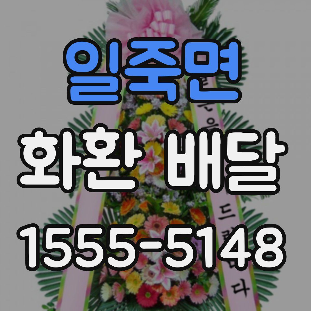 일죽면 화환 배달