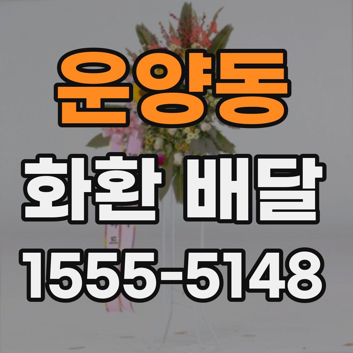 운양동 화환 배달