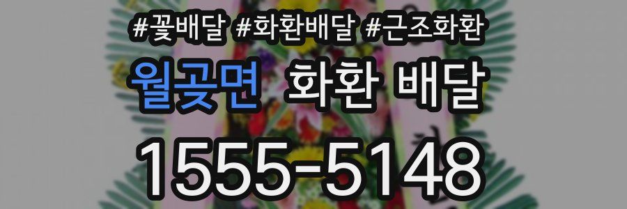월곶면 화환 배달