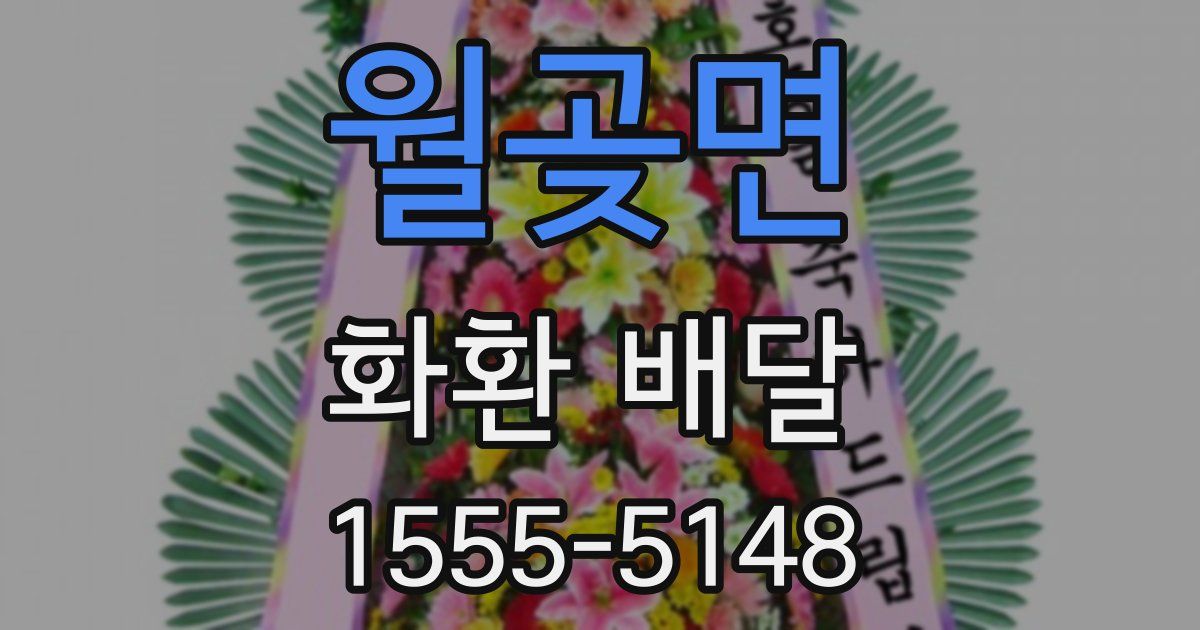 월곶면 화환 배달