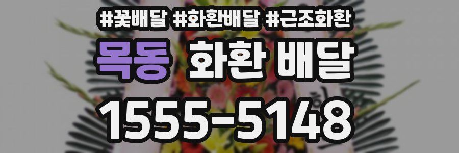 목동 화환 배달