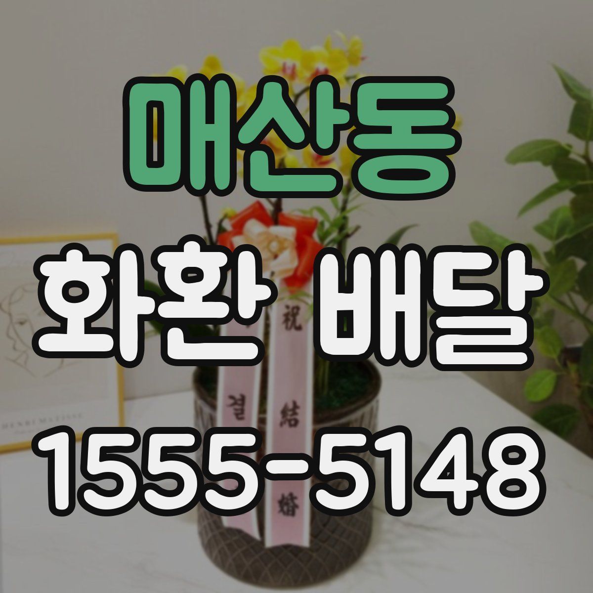 매산동 화환 배달