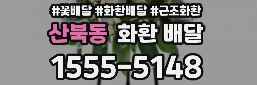 산북동 화환 배달