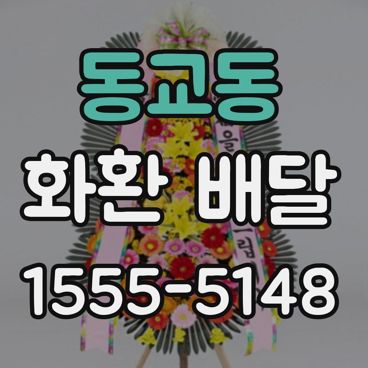 동교동 화환 배달
