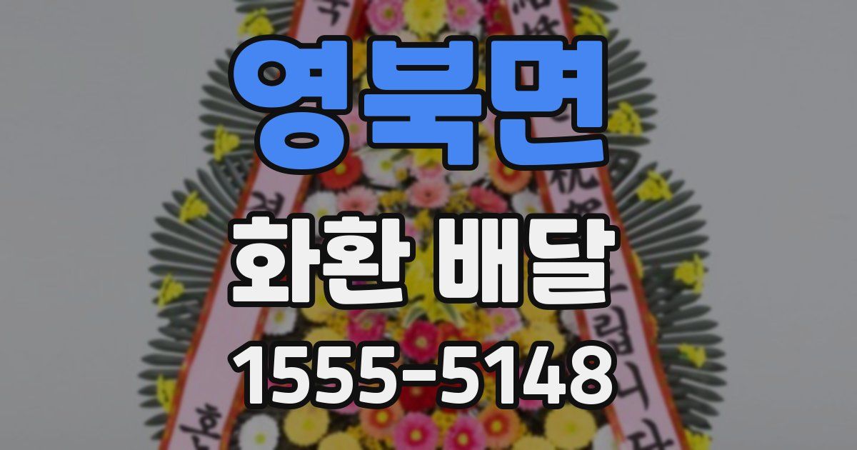 영북면 화환 배달