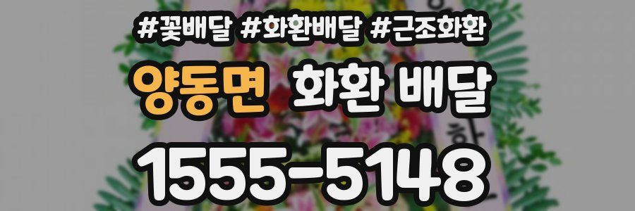 양동면 화환 배달