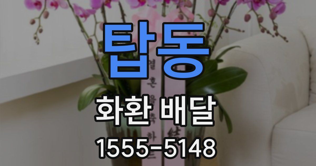 탑동 화환 배달