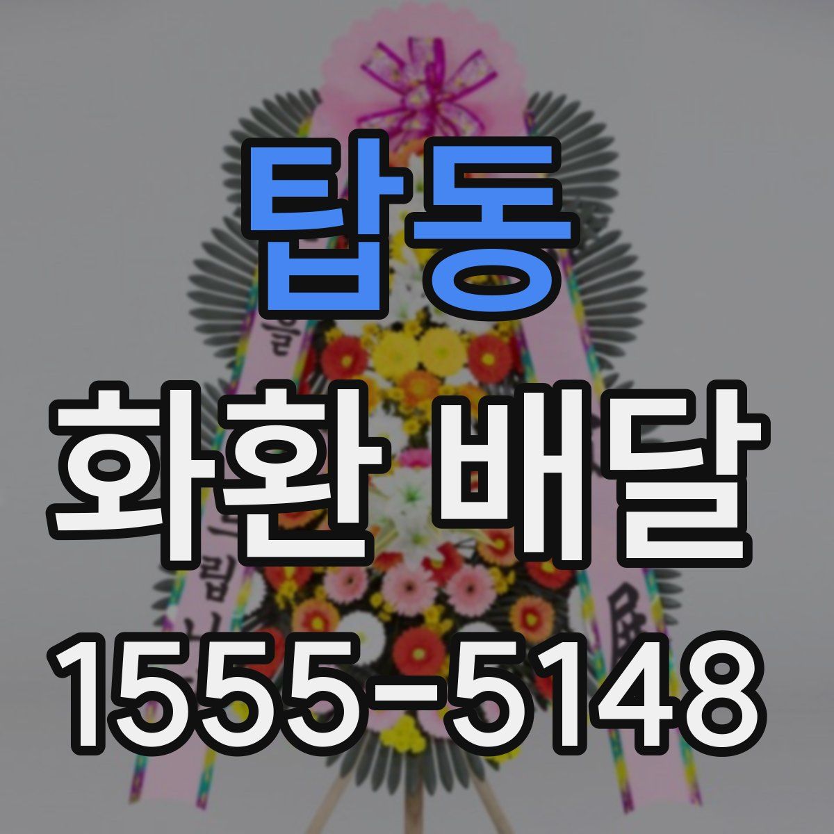 탑동 화환 배달