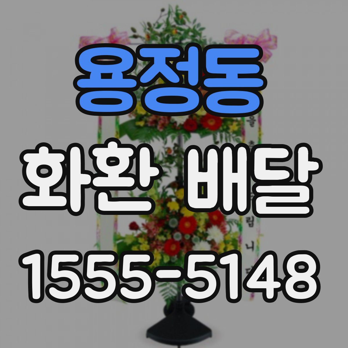 용정동 화환 배달