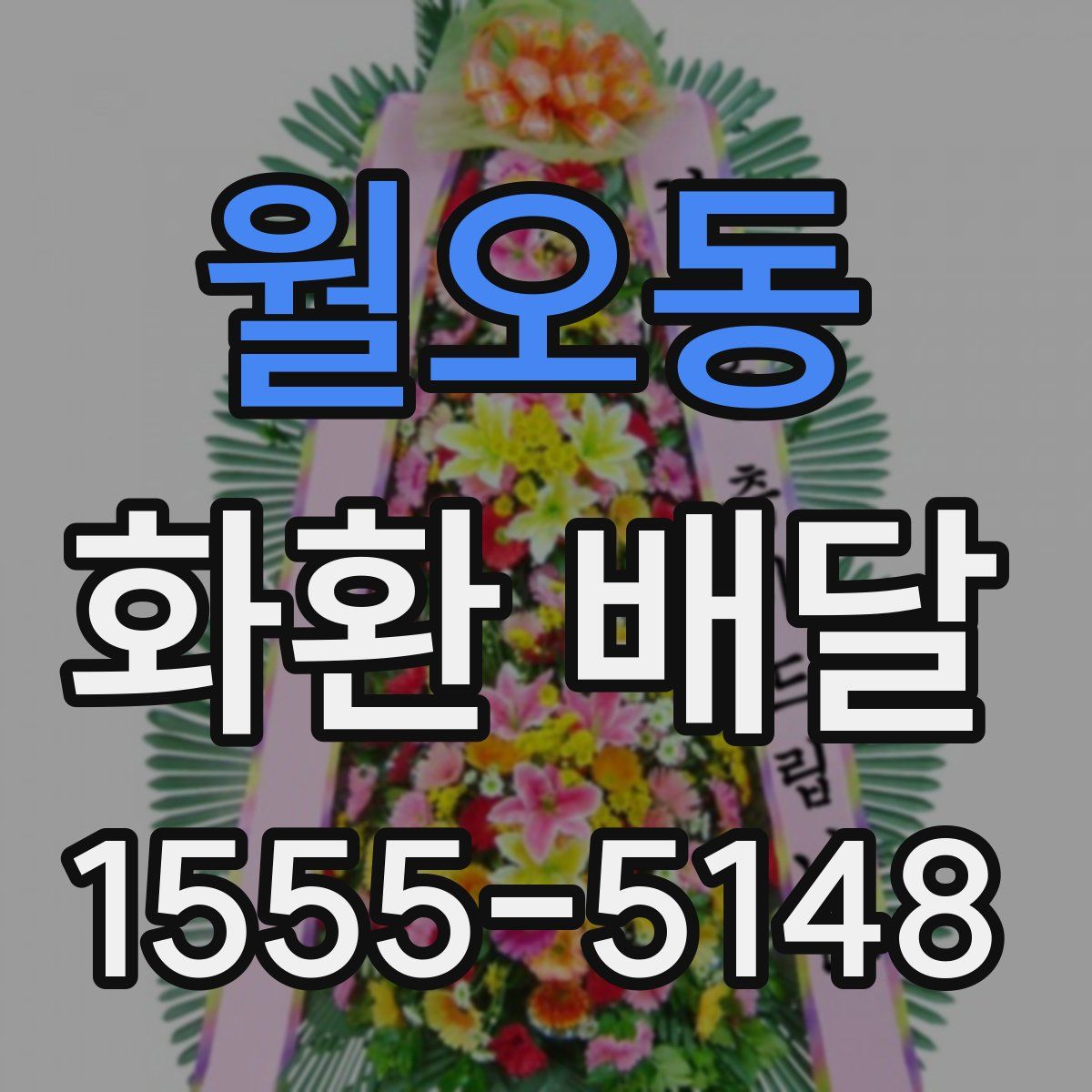 월오동 화환 배달