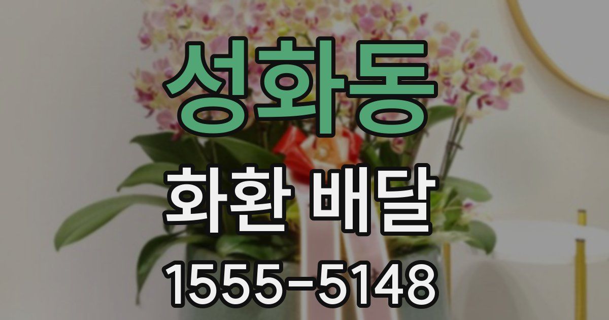 성화동 화환 배달