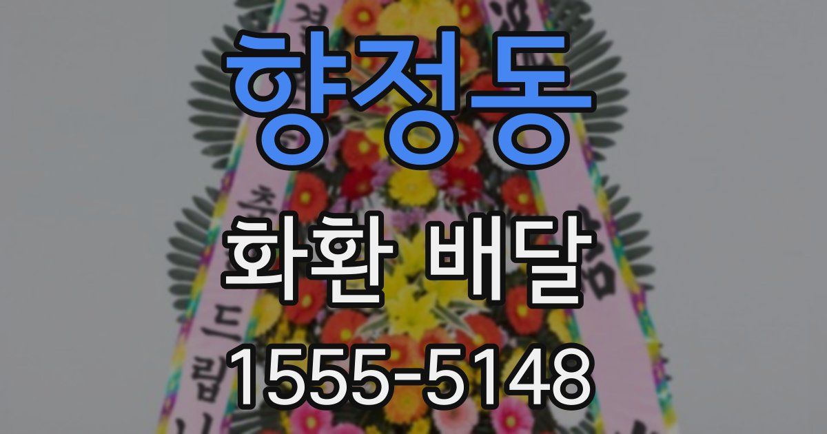 향정동 화환 배달
