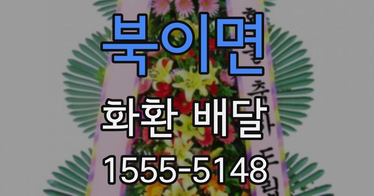 북이면 화환 배달