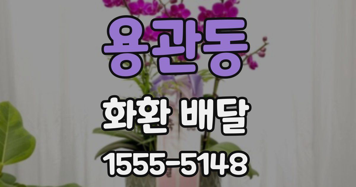 용관동 화환 배달