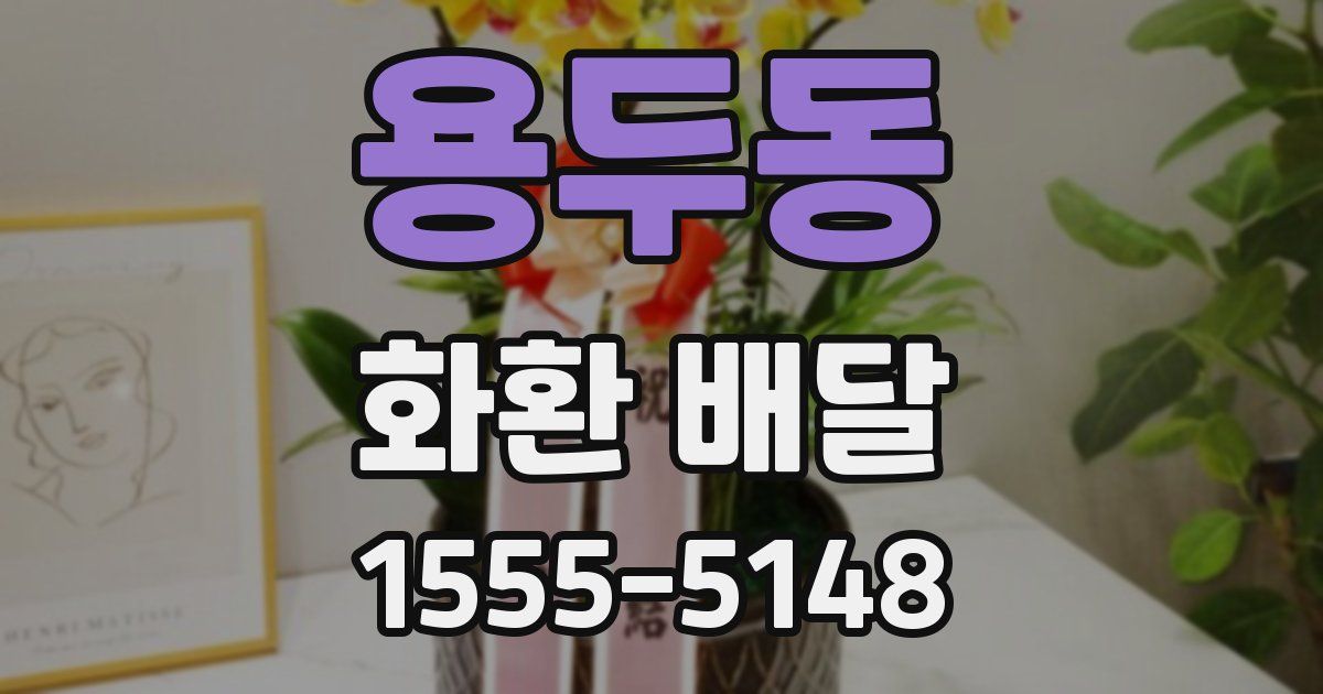 용두동 화환 배달