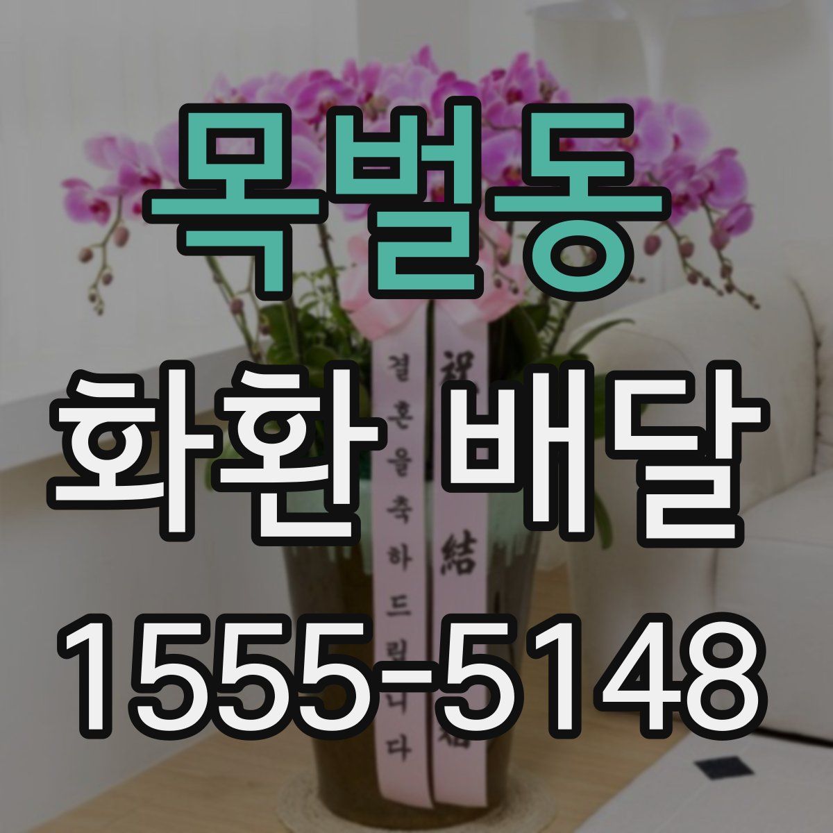 목벌동 화환 배달