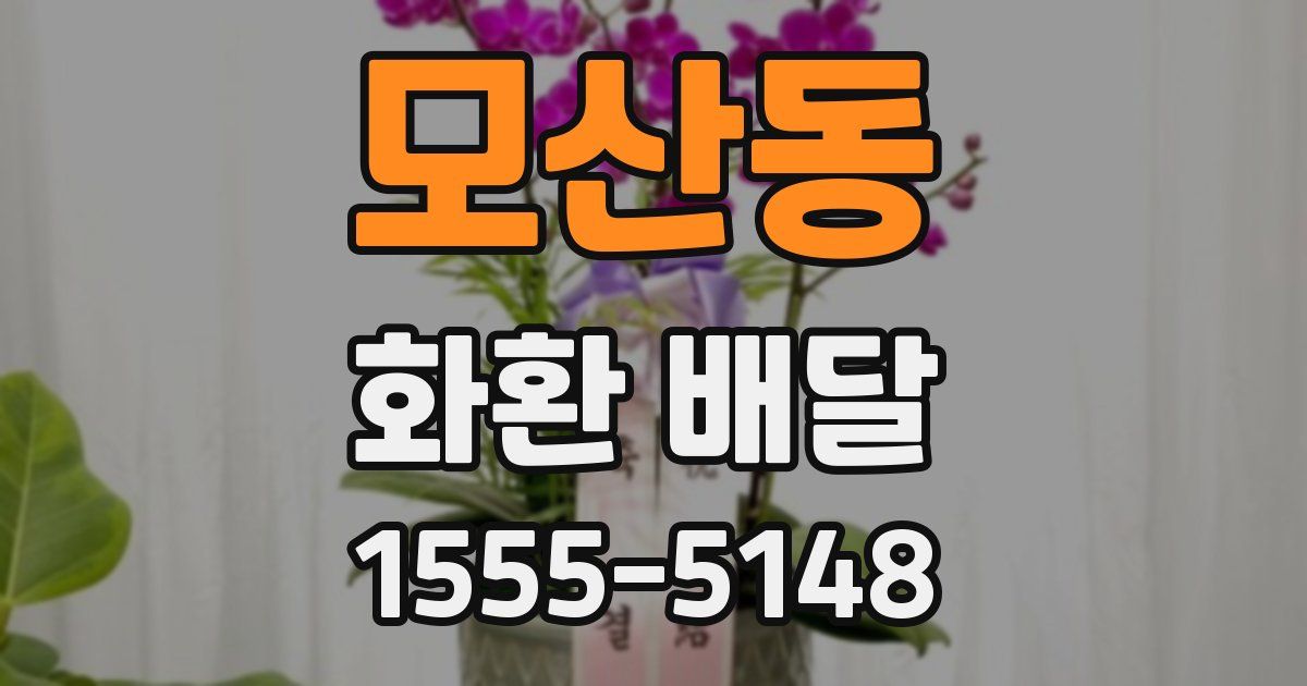 모산동 화환 배달