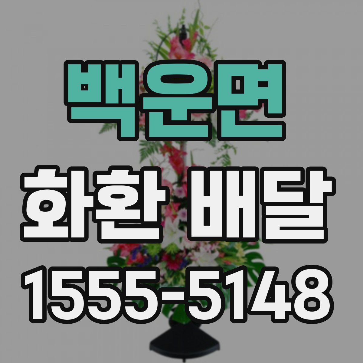 백운면 화환 배달
