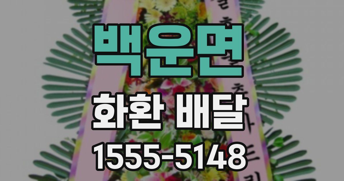 백운면 화환 배달