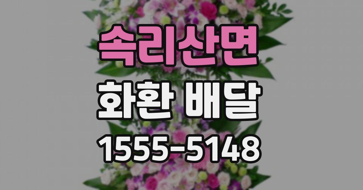 속리산면 화환 배달