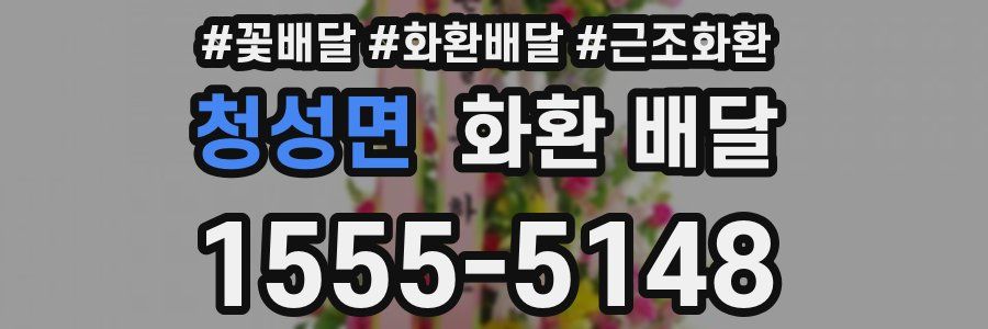 청성면 화환 배달