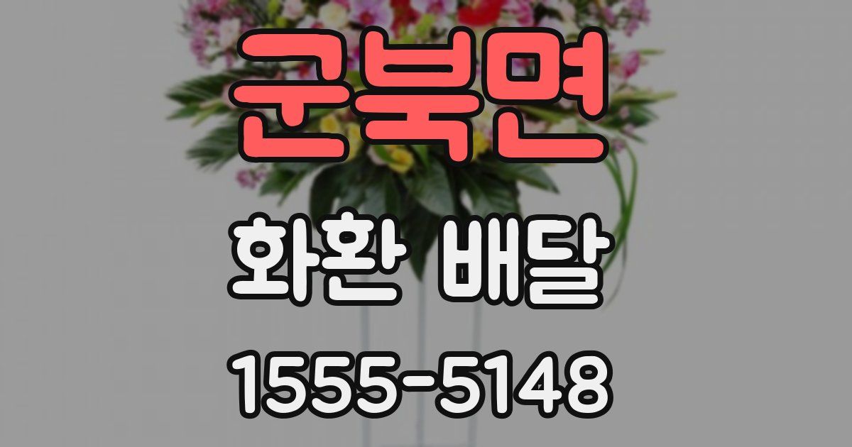 군북면 화환 배달