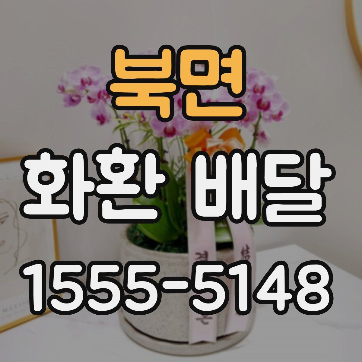 북면 화환 배달 행사 전날 확인하면 좋은 항목