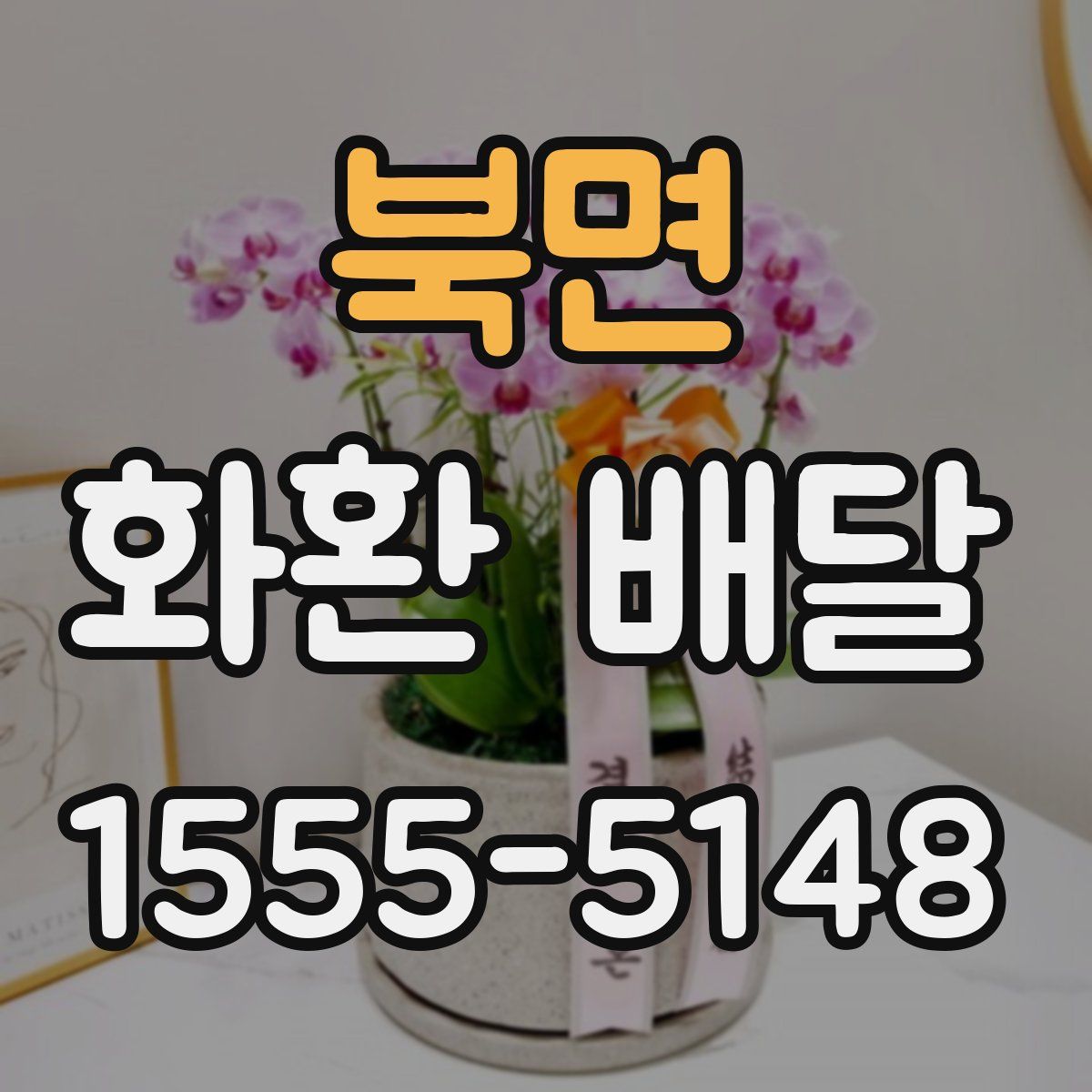북면 화환 배달