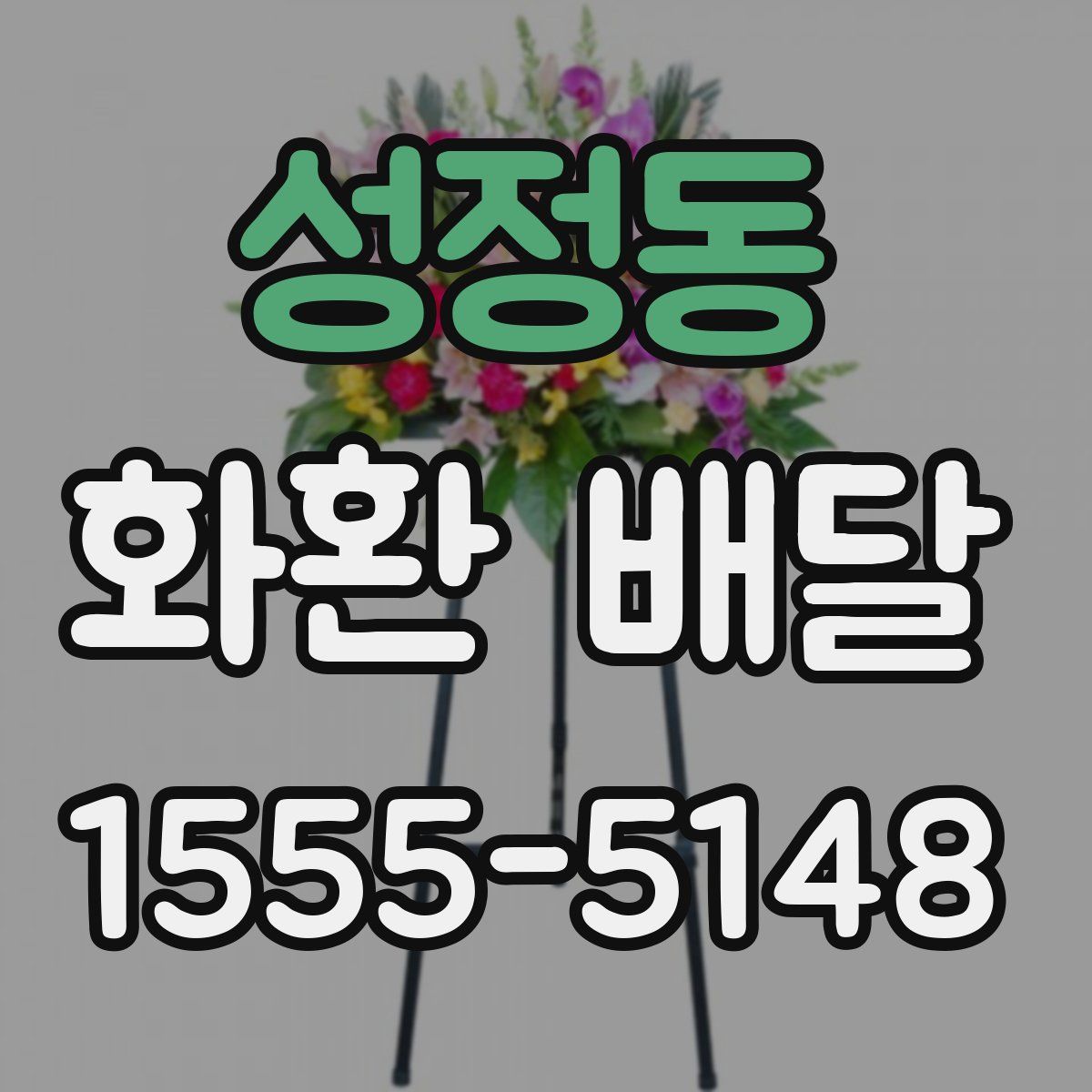 성정동 화환 배달