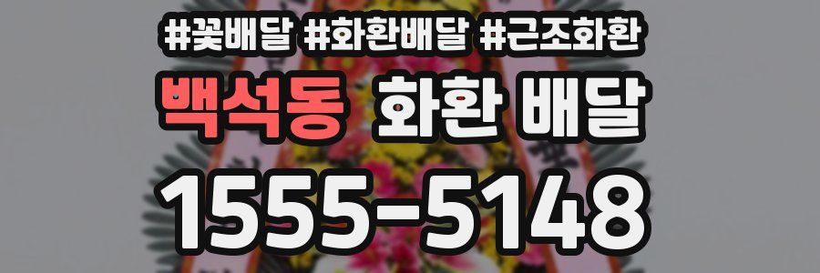 백석동 화환 배달