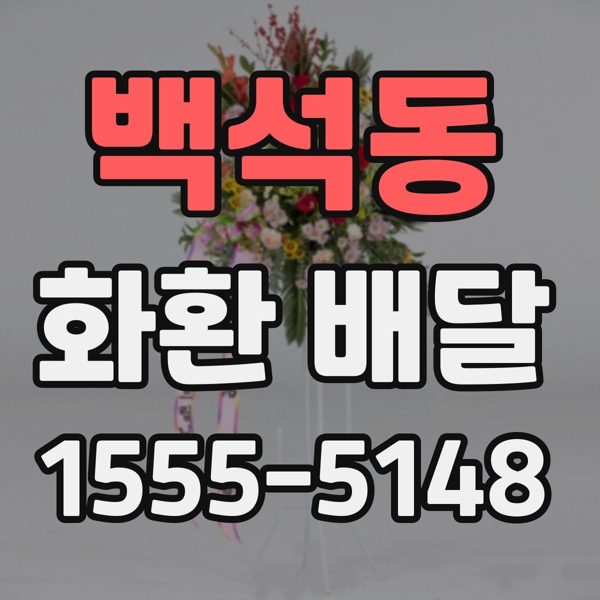 백석동 화환 배달