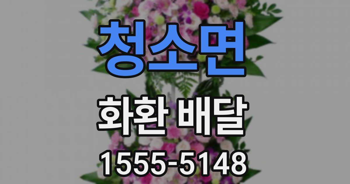 청소면 화환 배달