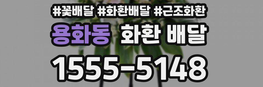 용화동 화환 배달