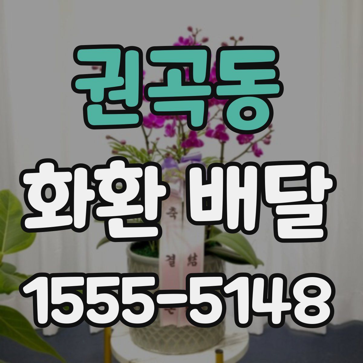 권곡동 화환 배달