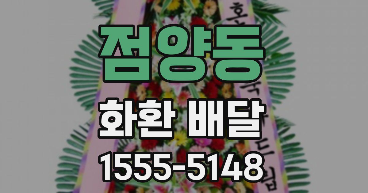 점양동 화환 배달
