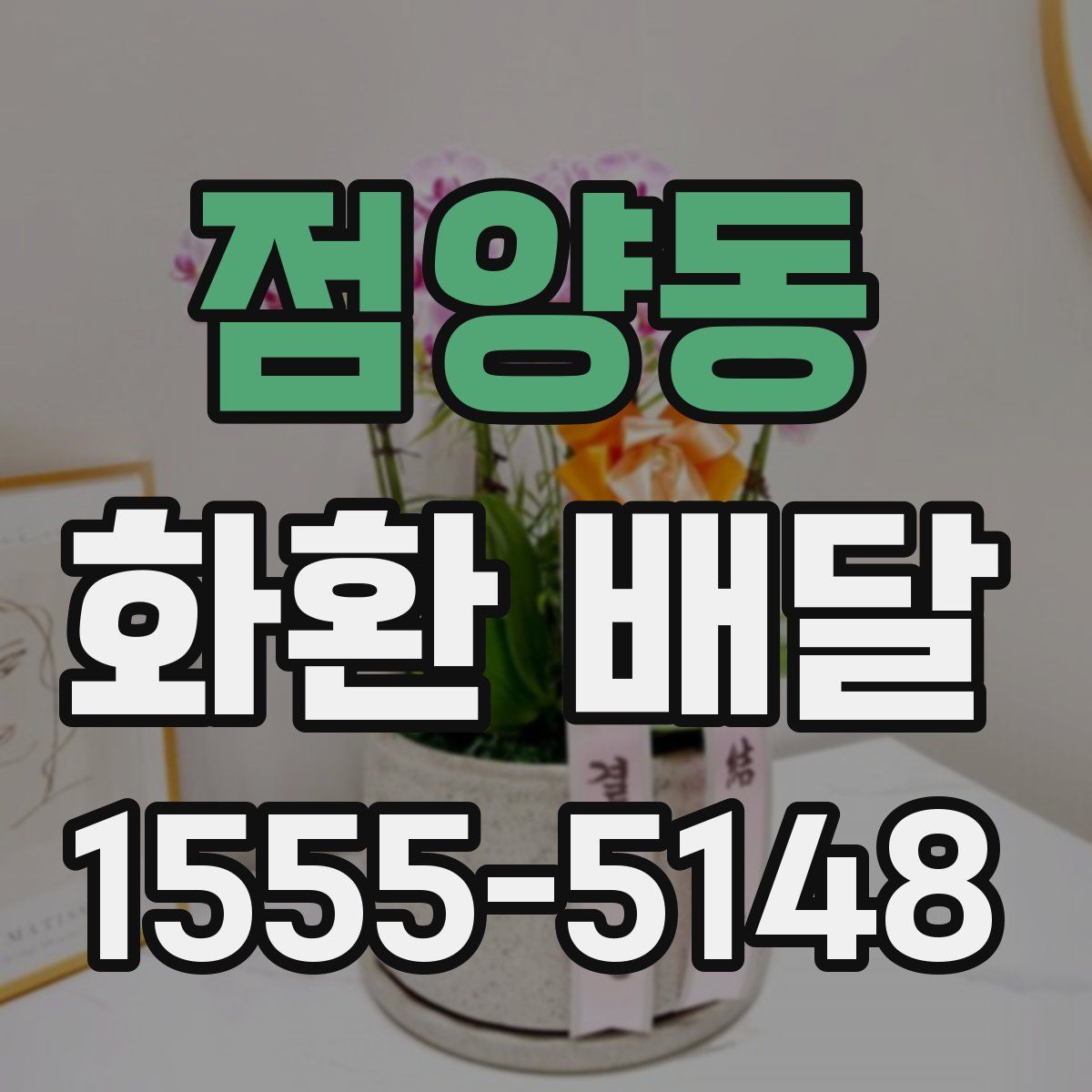 점양동 화환 배달
