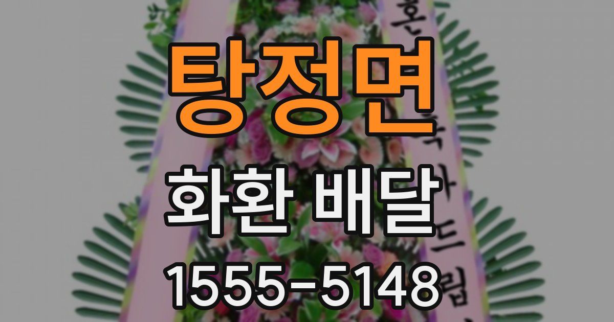 탕정면 화환 배달