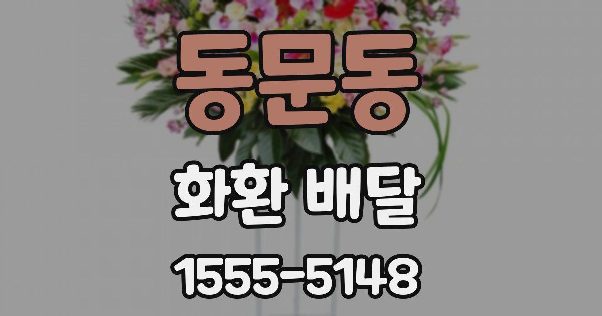 동문동 화환 배달