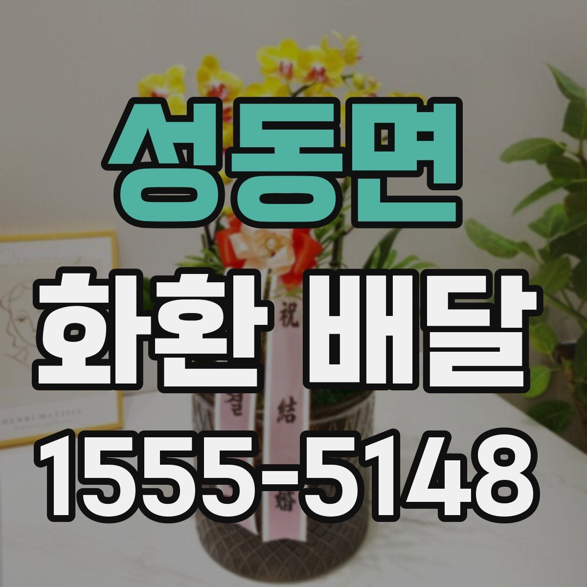 성동면 화환 배달