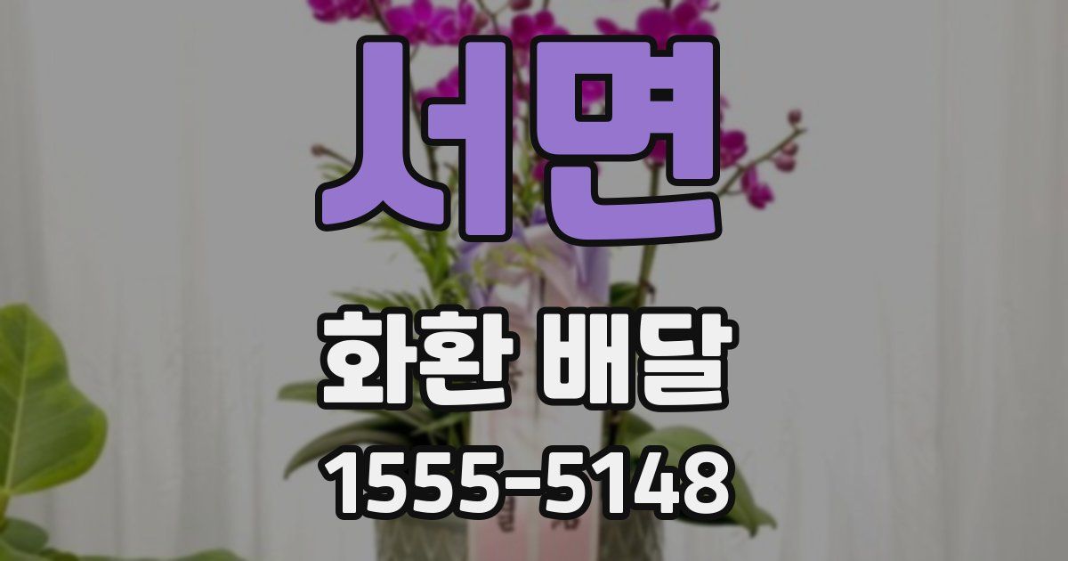 서면 화환 배달