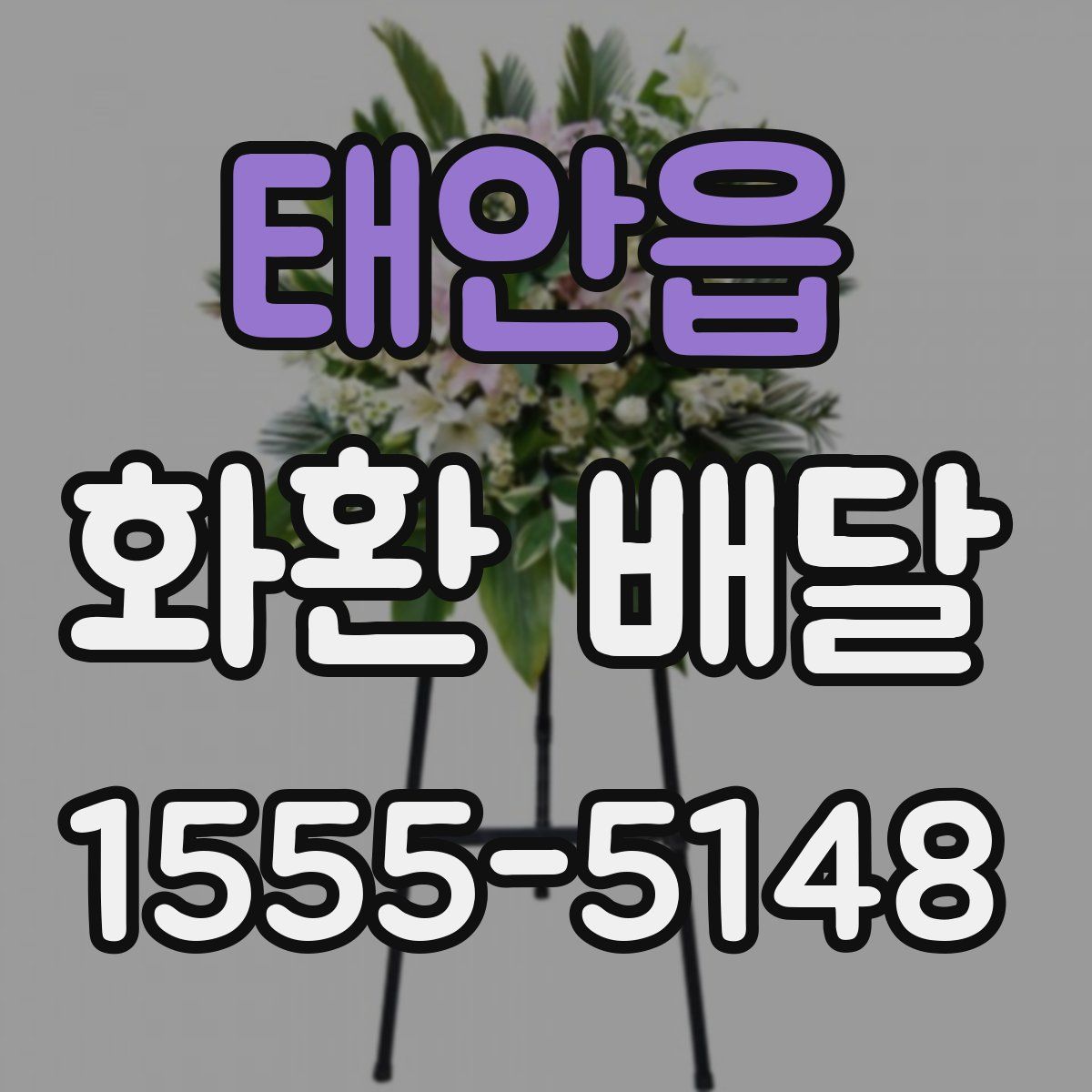 태안읍 화환 배달