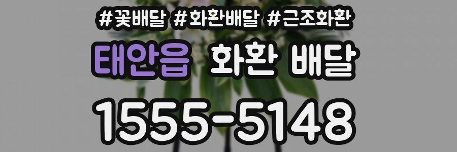 태안읍 화환 배달