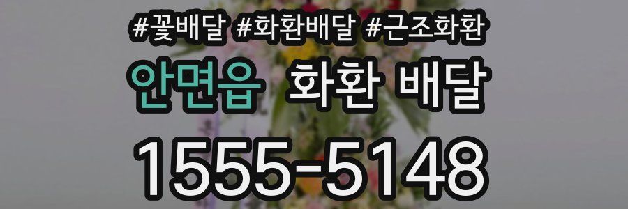 안면읍 화환 배달