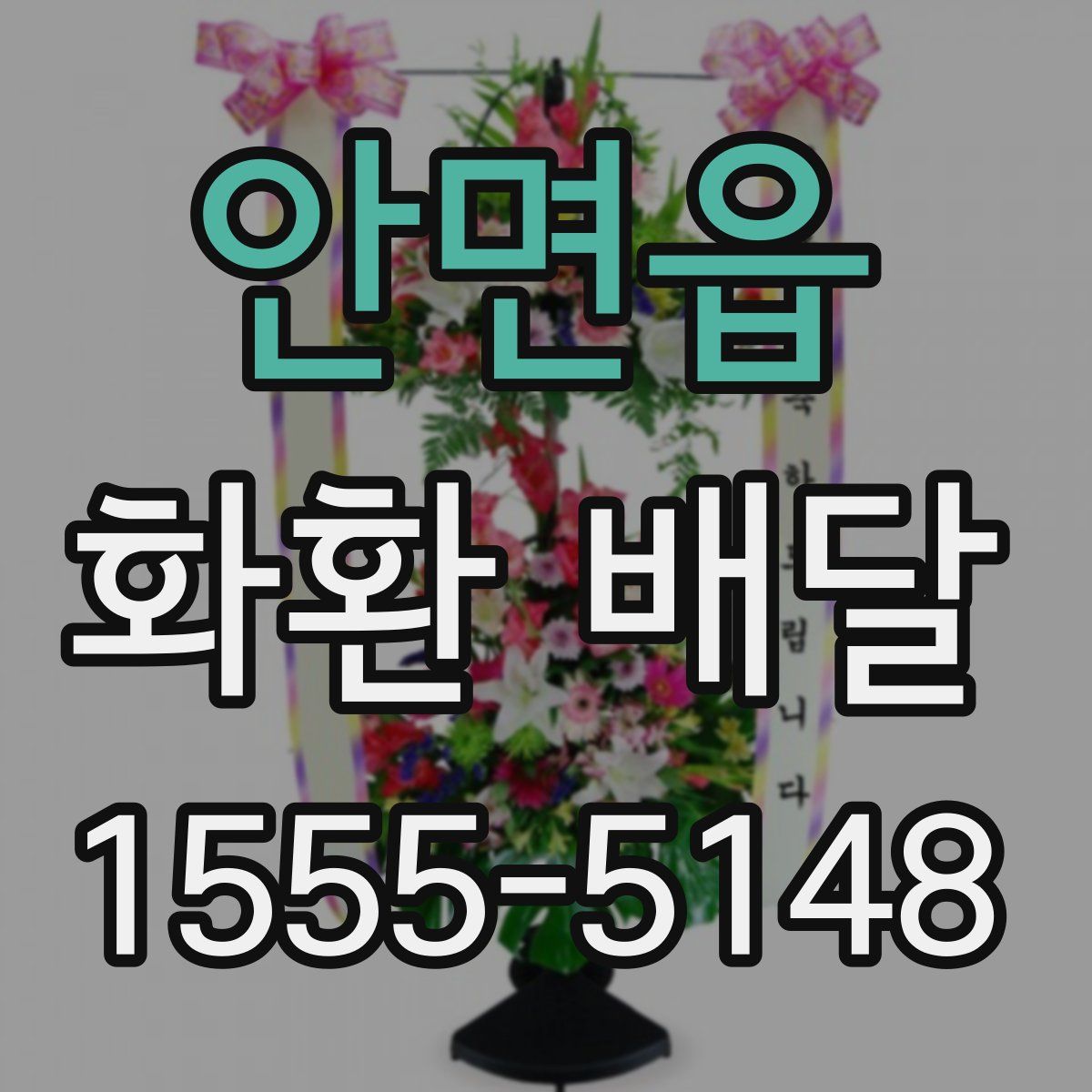 안면읍 화환 배달