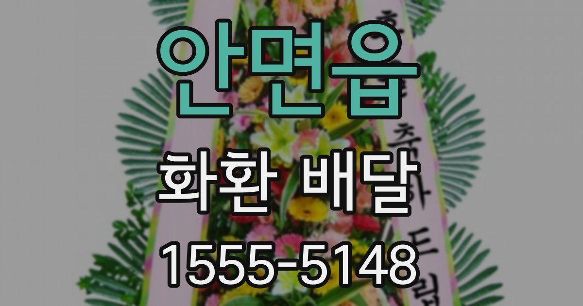안면읍 화환 배달