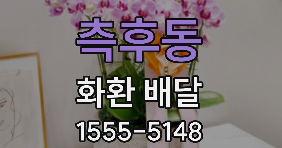 측후동 화환 배달