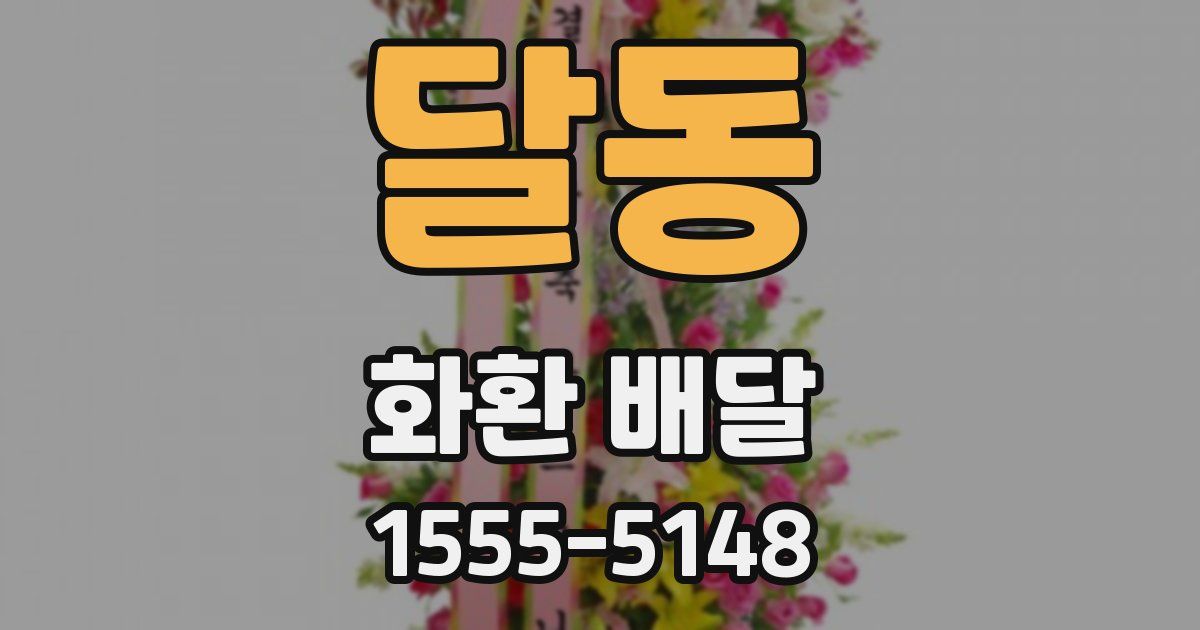 달동 화환 배달