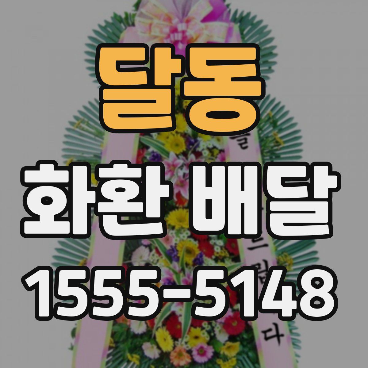 달동 화환 배달