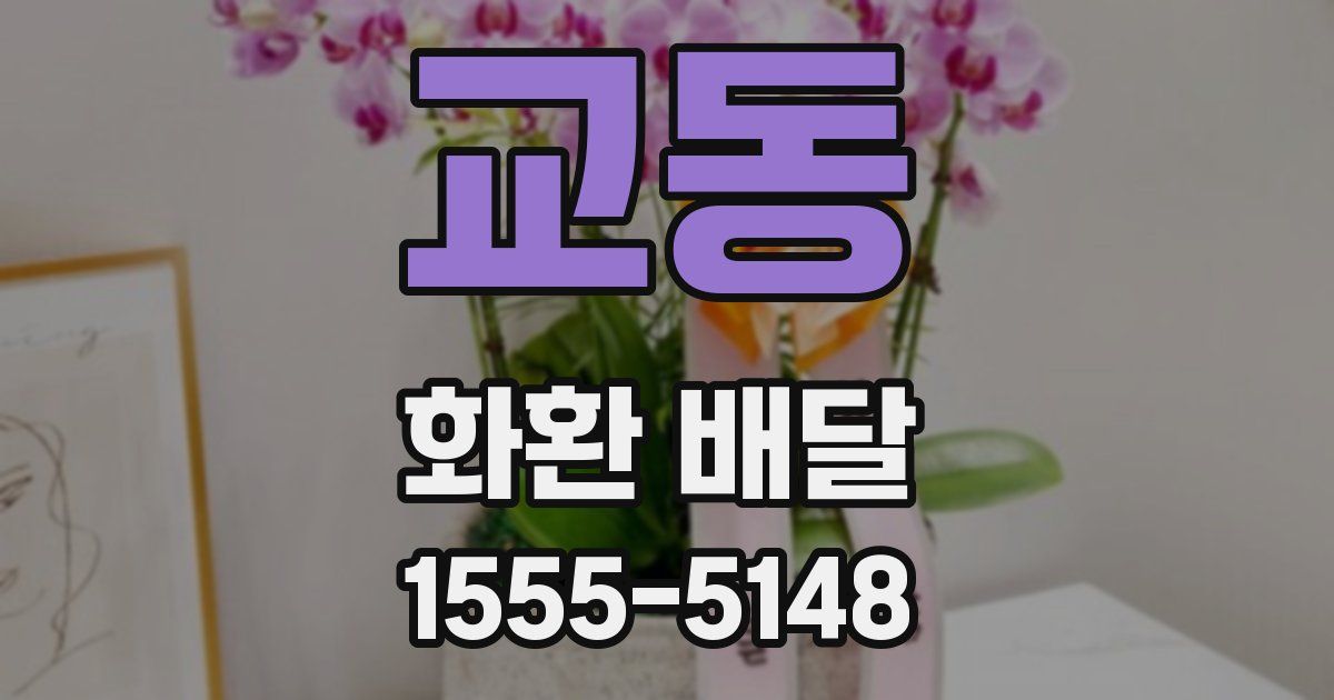 교동 화환 배달